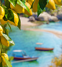https://www.goto-fly.it/wp-content/uploads/2024/06/prewiev_copertina-sicilia.jpg